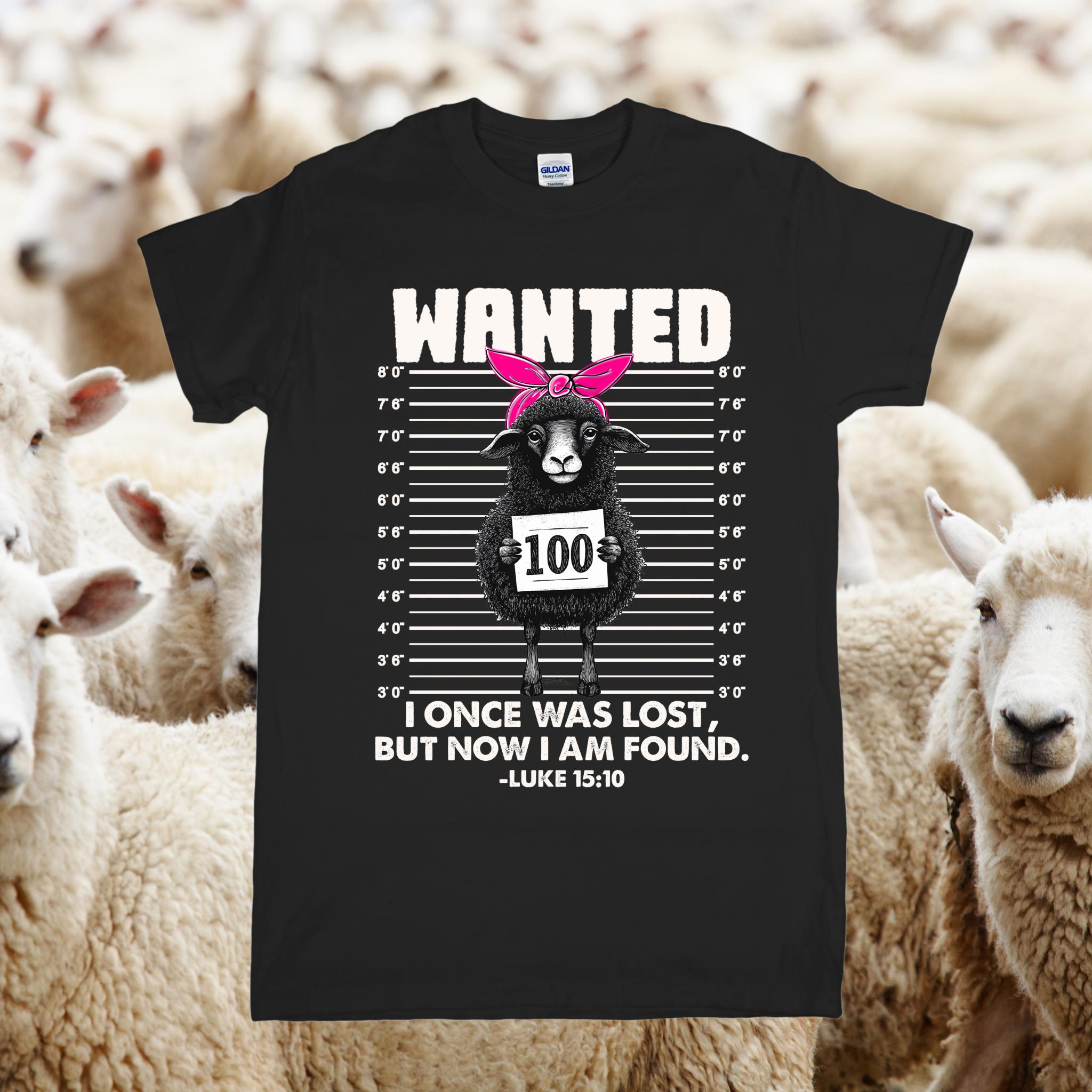 Black t-shirt with a sheep graphic and text, surrounded by sheep in a field.